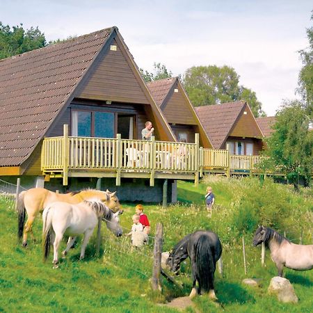 Delny Highland Lodges Invergordon Exteriör bild