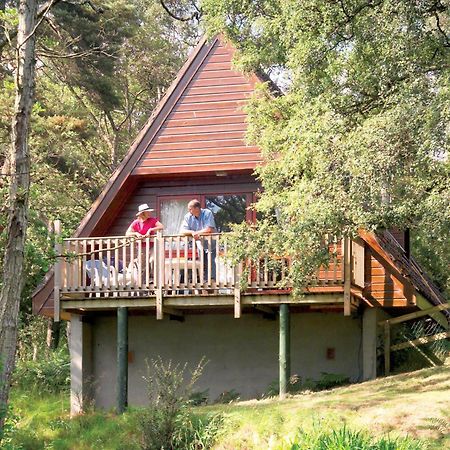 Delny Highland Lodges Invergordon Exteriör bild