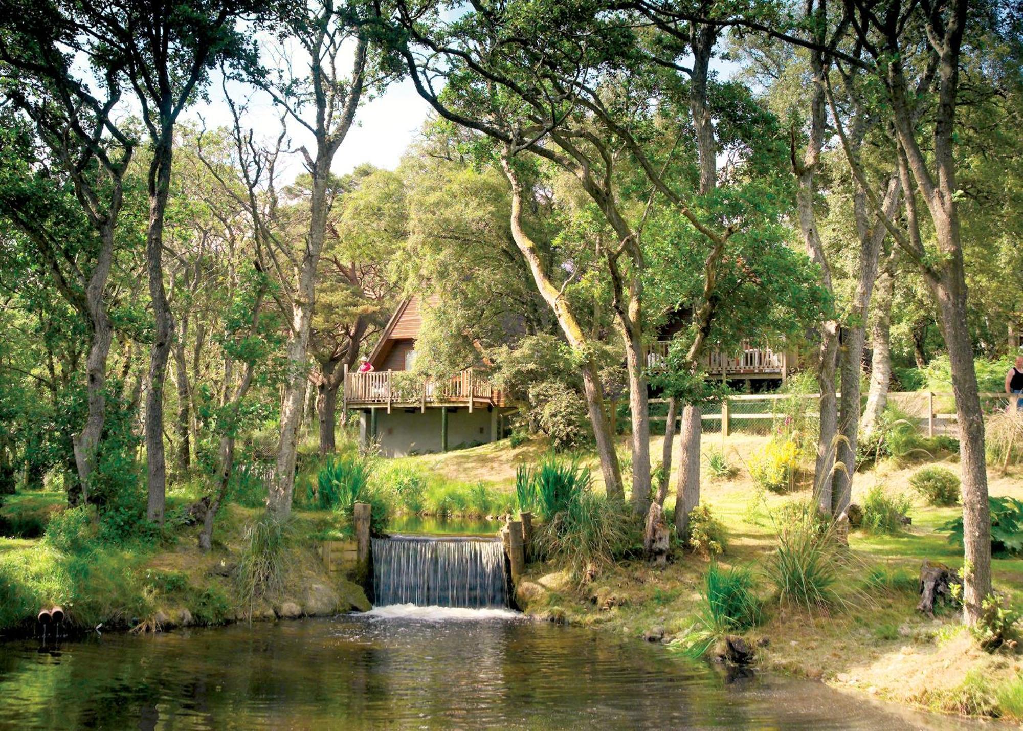 Delny Highland Lodges Invergordon Exteriör bild
